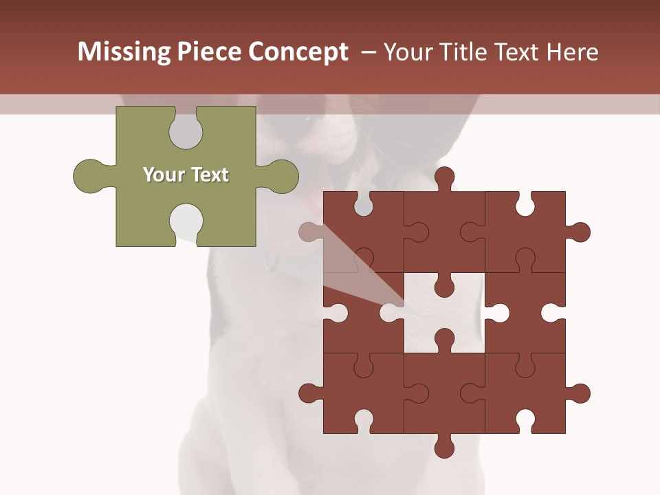 A Dog Sitting Down With His Tongue Out PowerPoint Template