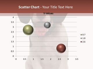 A Dog Sitting Down With His Tongue Out PowerPoint Template