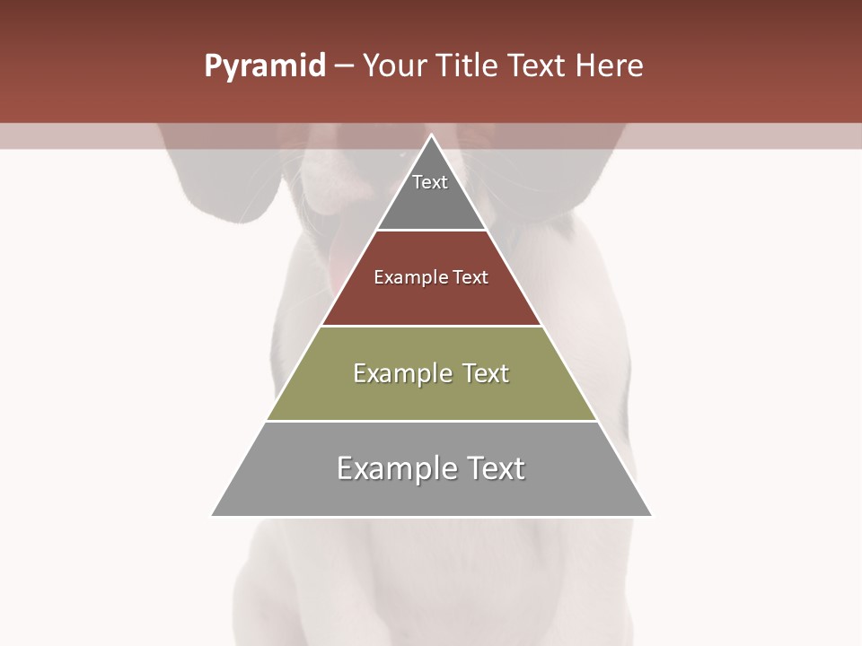 A Dog Sitting Down With His Tongue Out PowerPoint Template