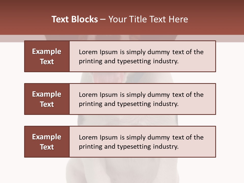 A Dog Sitting Down With His Tongue Out PowerPoint Template