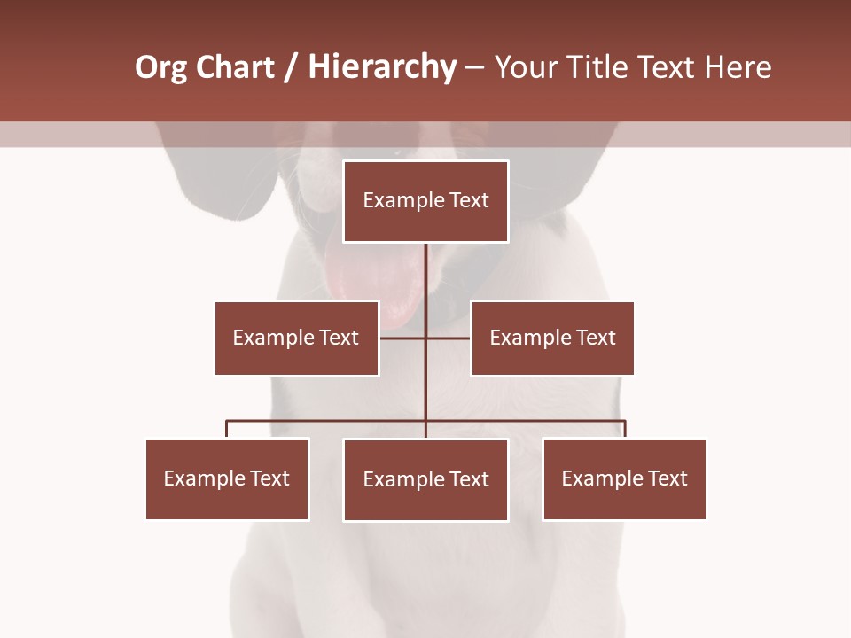 A Dog Sitting Down With His Tongue Out PowerPoint Template