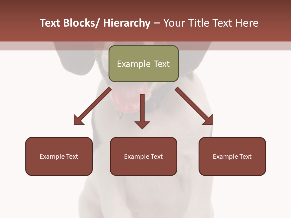 A Dog Sitting Down With His Tongue Out PowerPoint Template