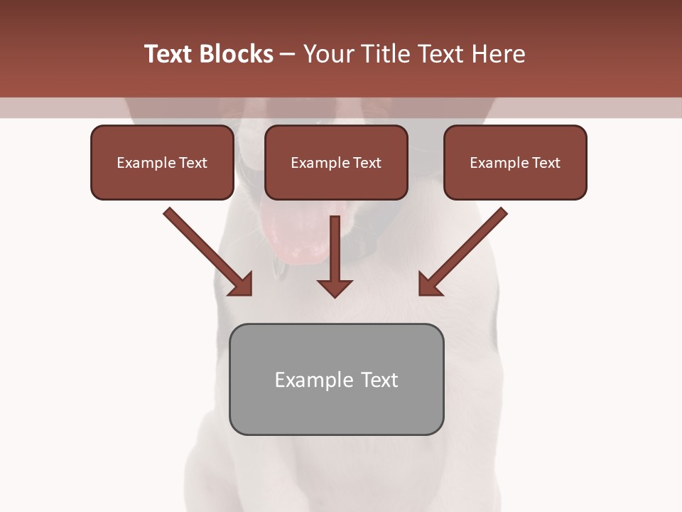 A Dog Sitting Down With His Tongue Out PowerPoint Template