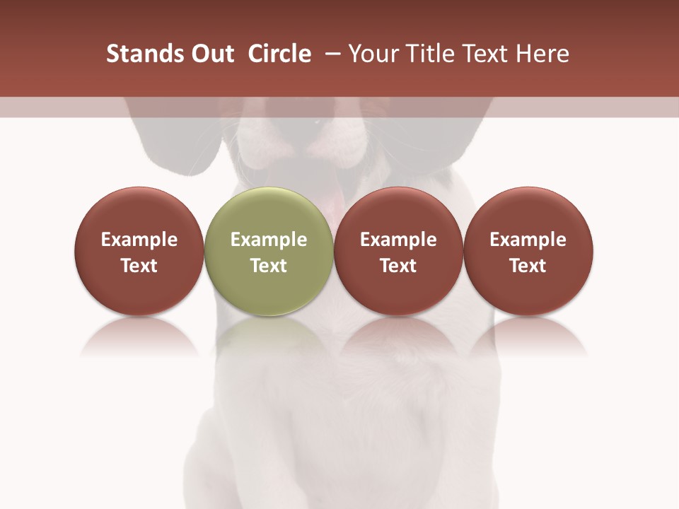 A Dog Sitting Down With His Tongue Out PowerPoint Template