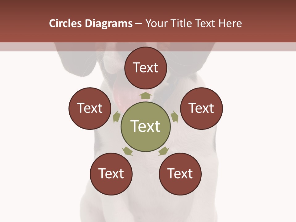 A Dog Sitting Down With His Tongue Out PowerPoint Template