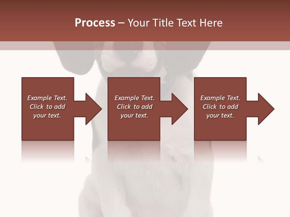A Dog Sitting Down With His Tongue Out PowerPoint Template