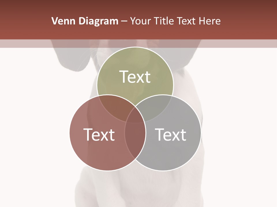 A Dog Sitting Down With His Tongue Out PowerPoint Template