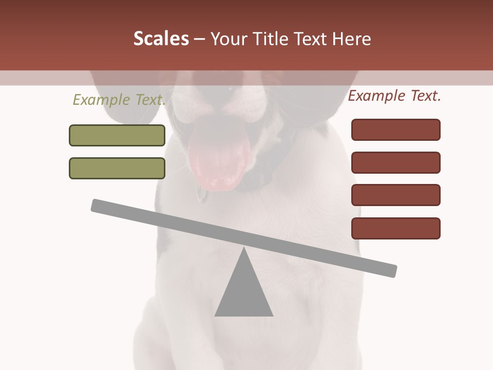 A Dog Sitting Down With His Tongue Out PowerPoint Template