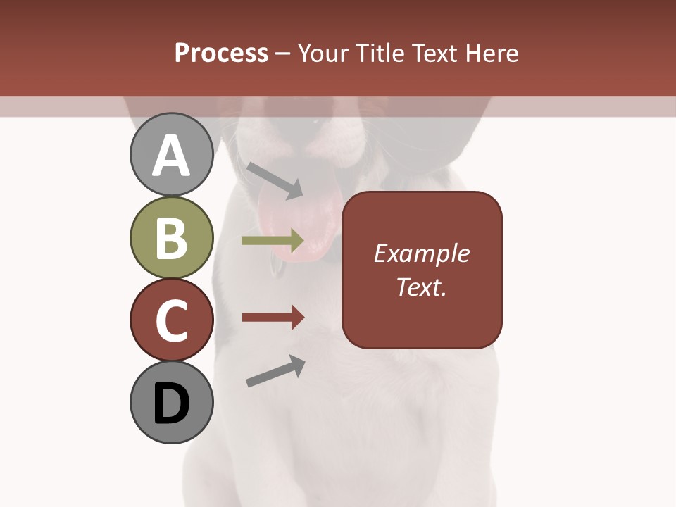 A Dog Sitting Down With His Tongue Out PowerPoint Template