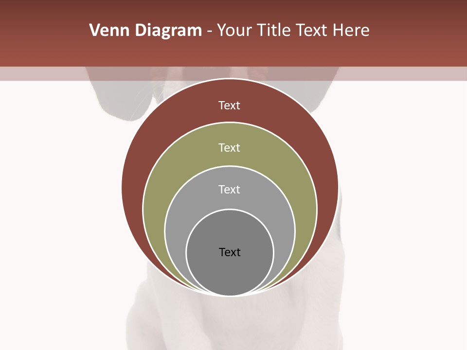 A Dog Sitting Down With His Tongue Out PowerPoint Template