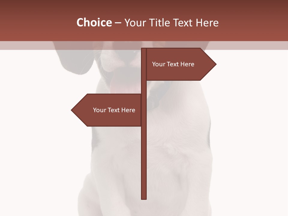 A Dog Sitting Down With His Tongue Out PowerPoint Template