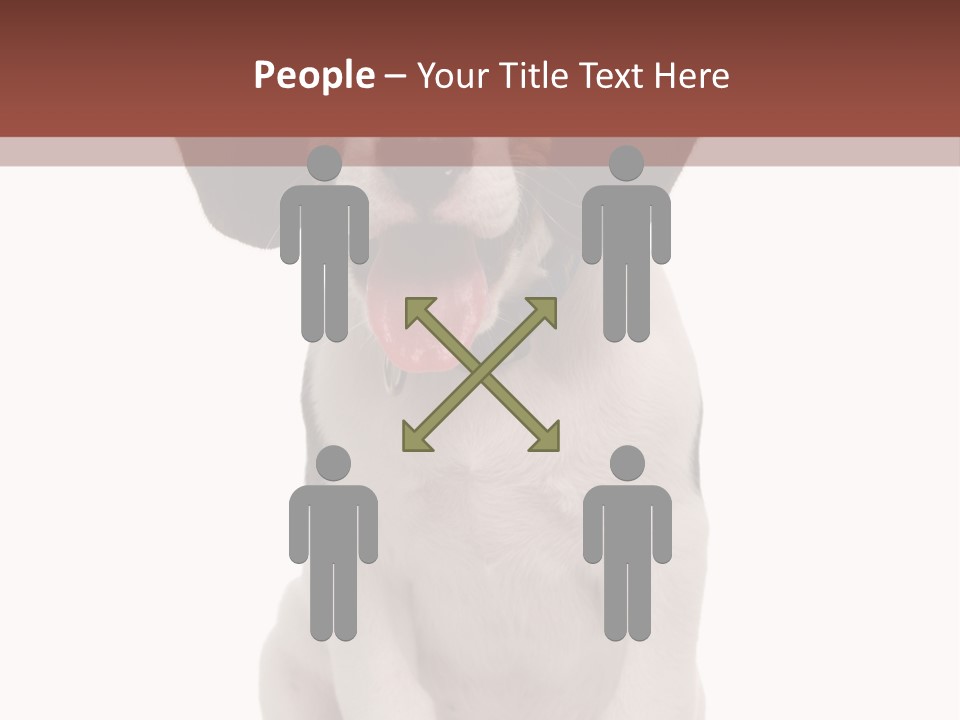 A Dog Sitting Down With His Tongue Out PowerPoint Template