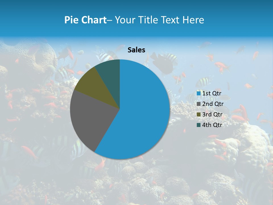 Eilat Travel Exploration PowerPoint Template