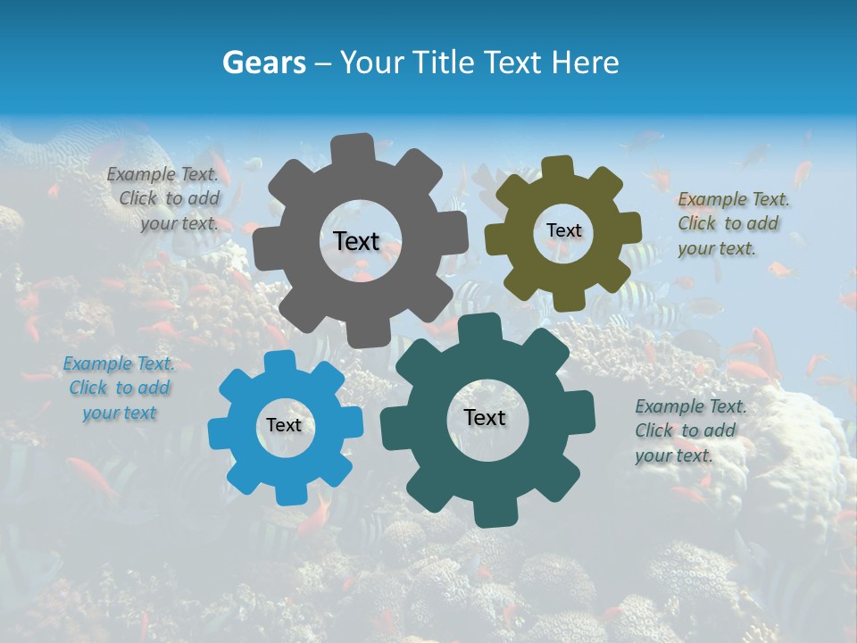 Eilat Travel Exploration PowerPoint Template