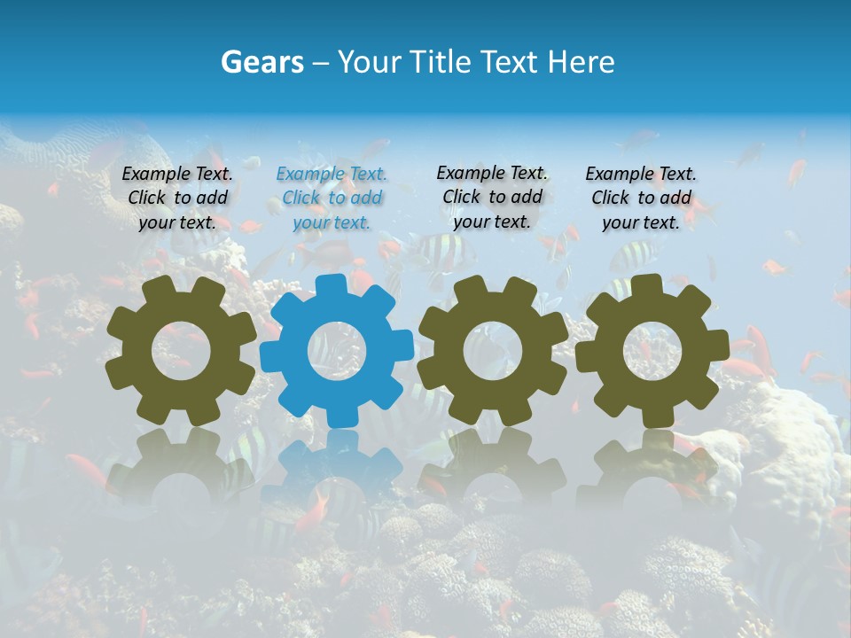 Eilat Travel Exploration PowerPoint Template