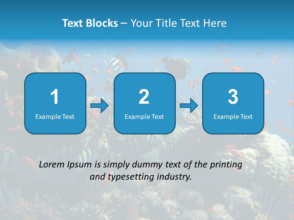 Eilat Travel Exploration PowerPoint Template