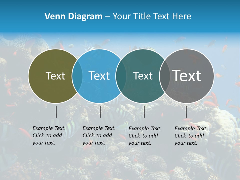 Eilat Travel Exploration PowerPoint Template