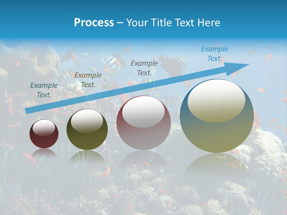 Eilat Travel Exploration PowerPoint Template