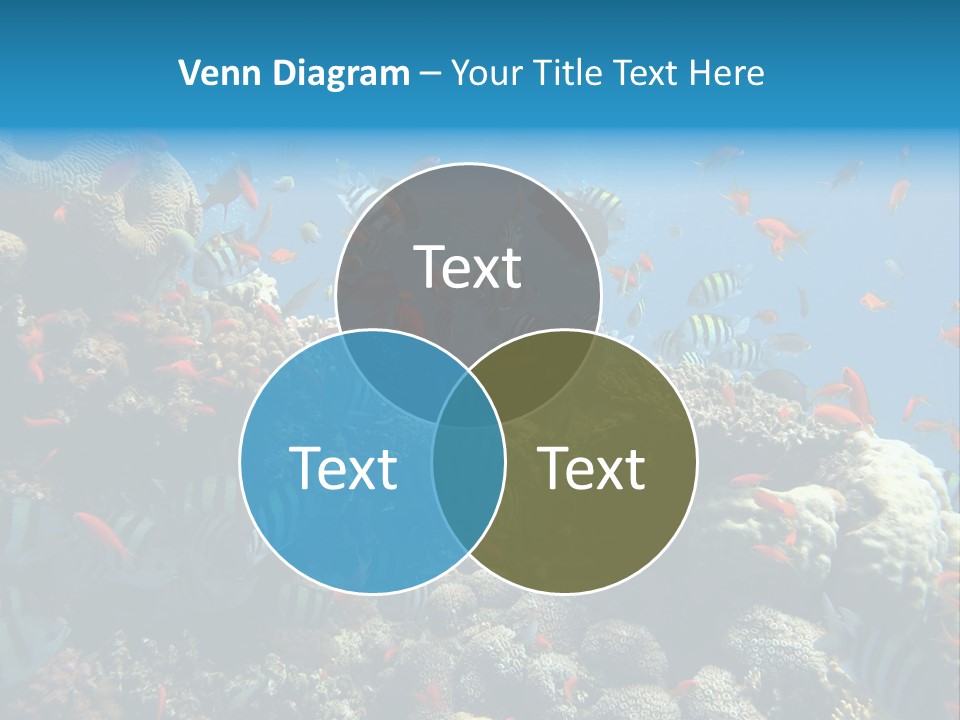Eilat Travel Exploration PowerPoint Template
