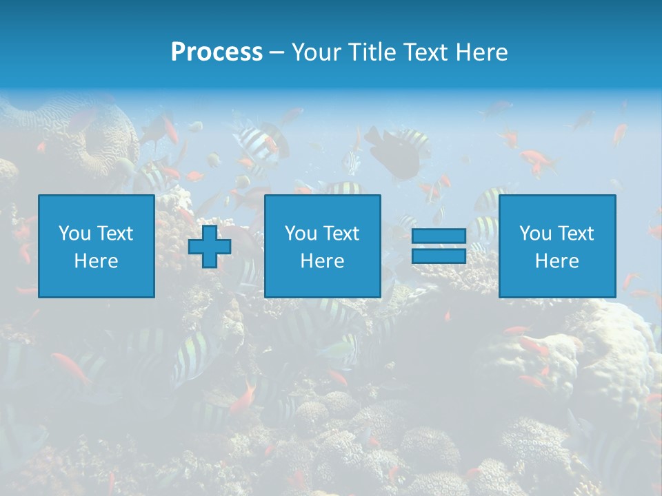 Eilat Travel Exploration PowerPoint Template