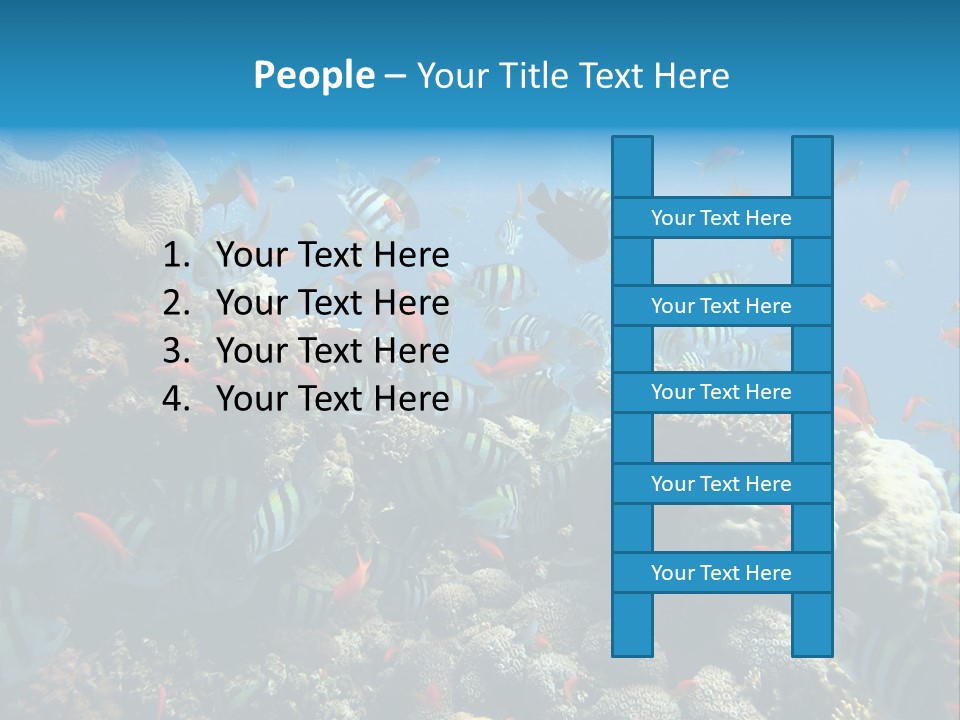 Eilat Travel Exploration PowerPoint Template