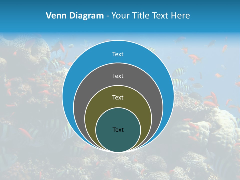 Eilat Travel Exploration PowerPoint Template