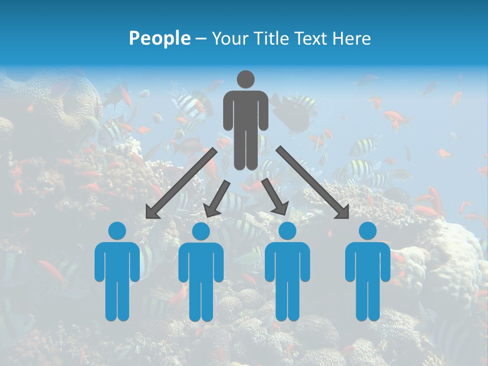 Eilat Travel Exploration PowerPoint Template