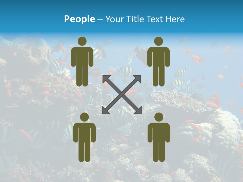 Eilat Travel Exploration PowerPoint Template