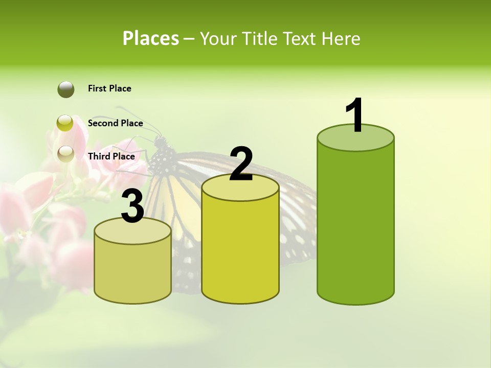 Macro Lepidoptera Color PowerPoint Template