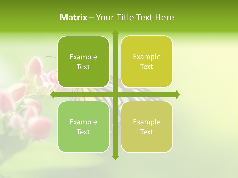 Macro Lepidoptera Color PowerPoint Template