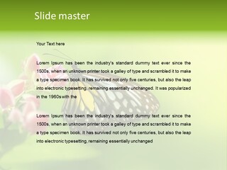 Macro Lepidoptera Color PowerPoint Template