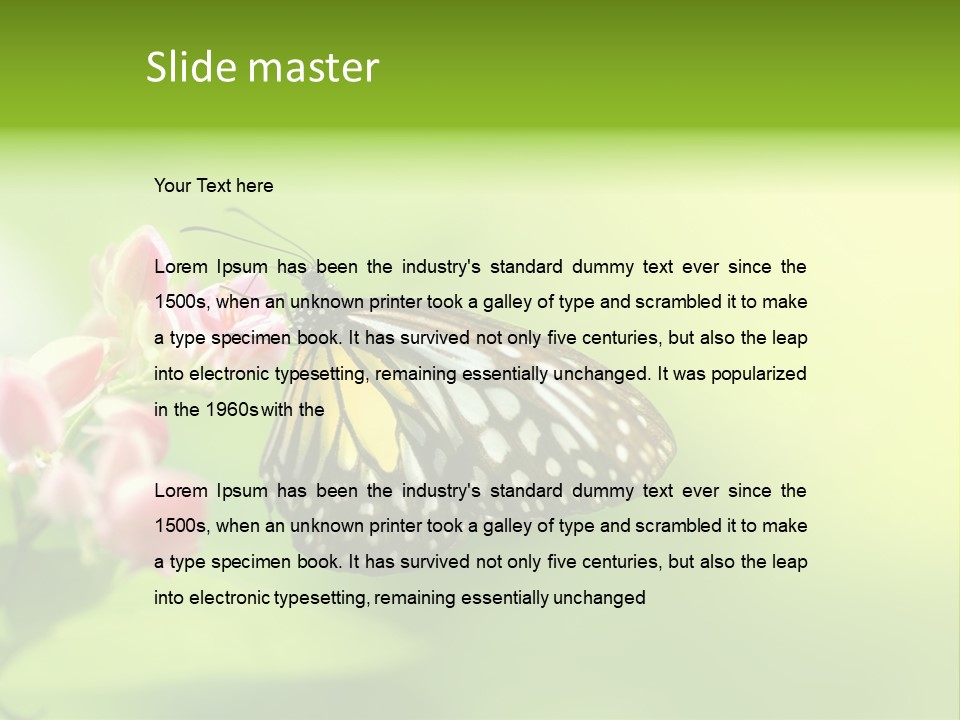 Macro Lepidoptera Color PowerPoint Template