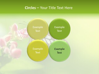 Macro Lepidoptera Color PowerPoint Template