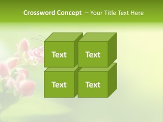 Macro Lepidoptera Color PowerPoint Template