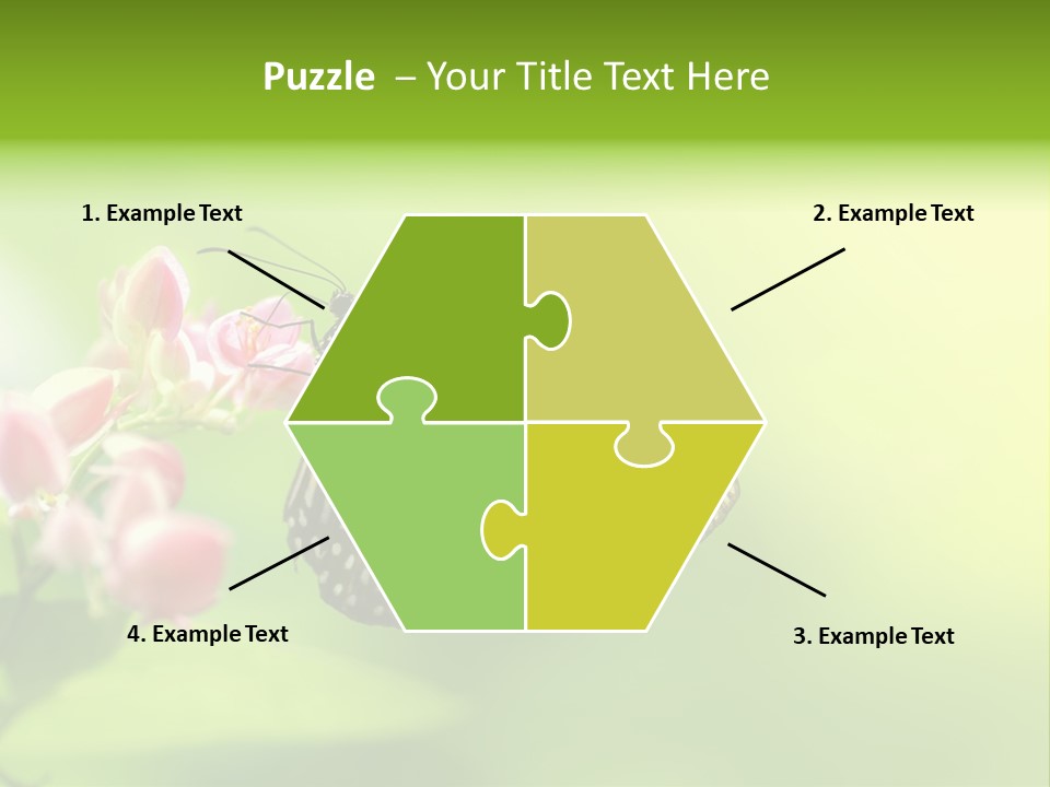 Macro Lepidoptera Color PowerPoint Template