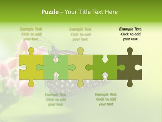 Macro Lepidoptera Color PowerPoint Template