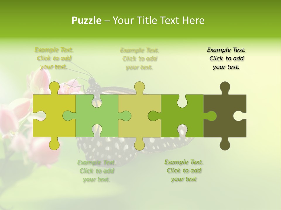 Macro Lepidoptera Color PowerPoint Template