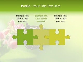 Macro Lepidoptera Color PowerPoint Template