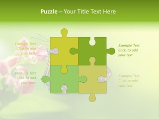 Macro Lepidoptera Color PowerPoint Template