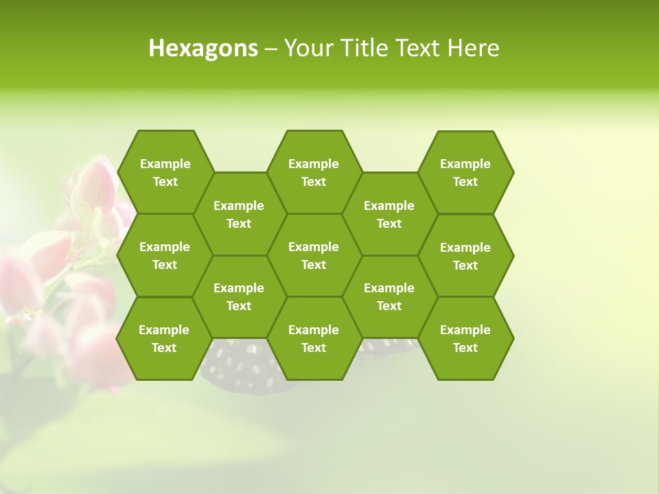 Macro Lepidoptera Color PowerPoint Template