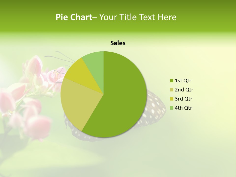 Macro Lepidoptera Color PowerPoint Template