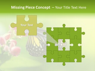Macro Lepidoptera Color PowerPoint Template