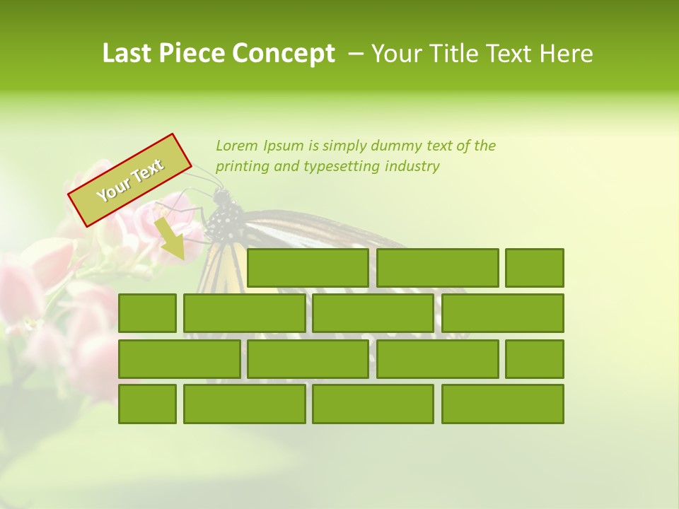 Macro Lepidoptera Color PowerPoint Template