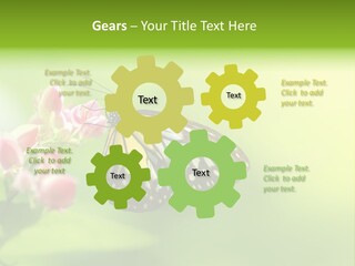 Macro Lepidoptera Color PowerPoint Template