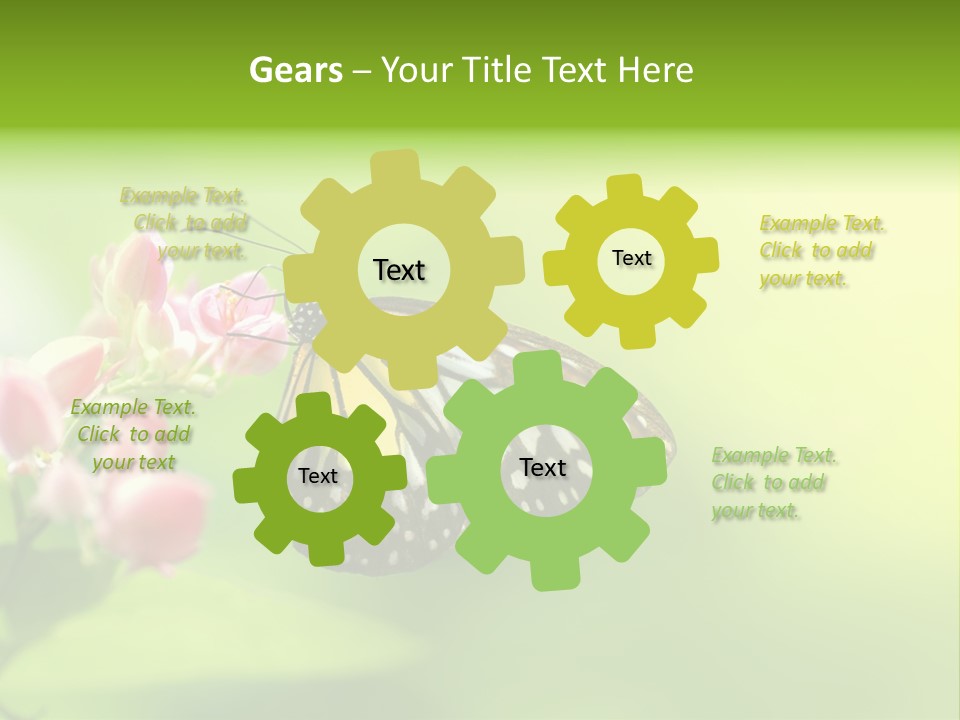 Macro Lepidoptera Color PowerPoint Template