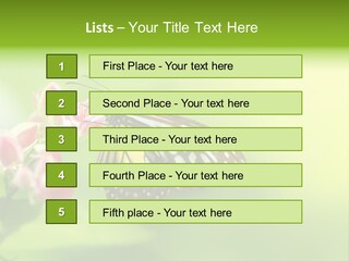 Macro Lepidoptera Color PowerPoint Template