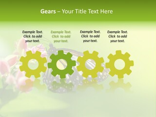 Macro Lepidoptera Color PowerPoint Template