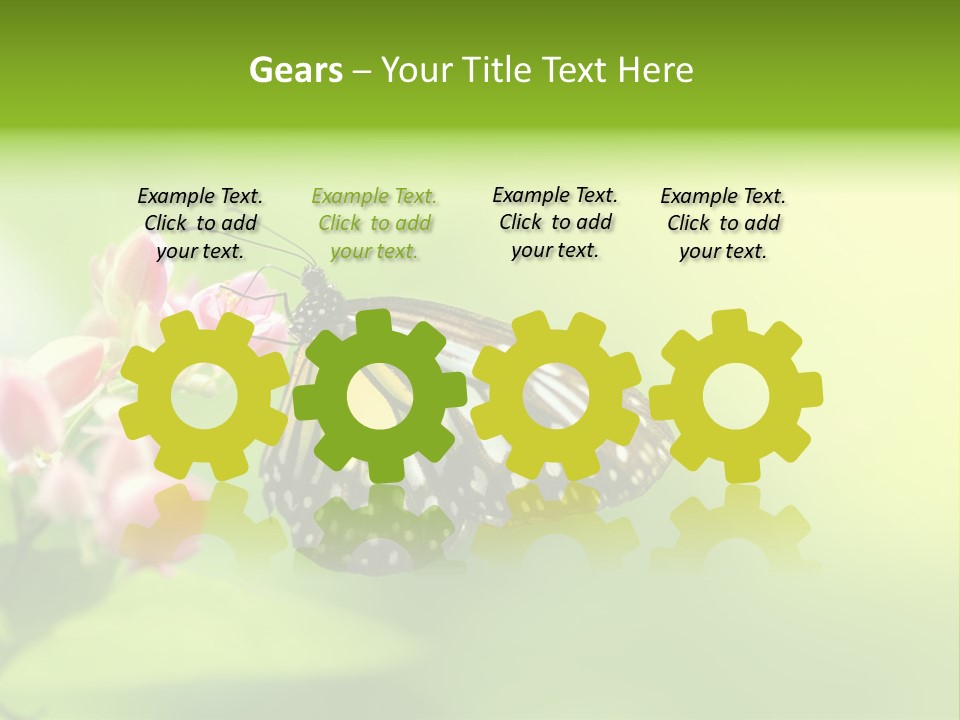 Macro Lepidoptera Color PowerPoint Template