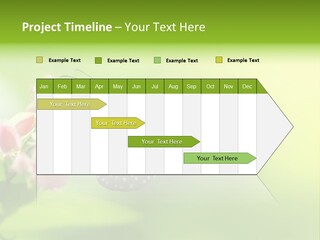 Macro Lepidoptera Color PowerPoint Template