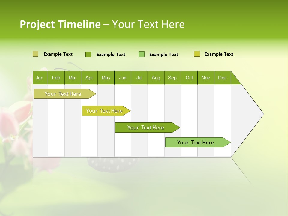 Macro Lepidoptera Color PowerPoint Template